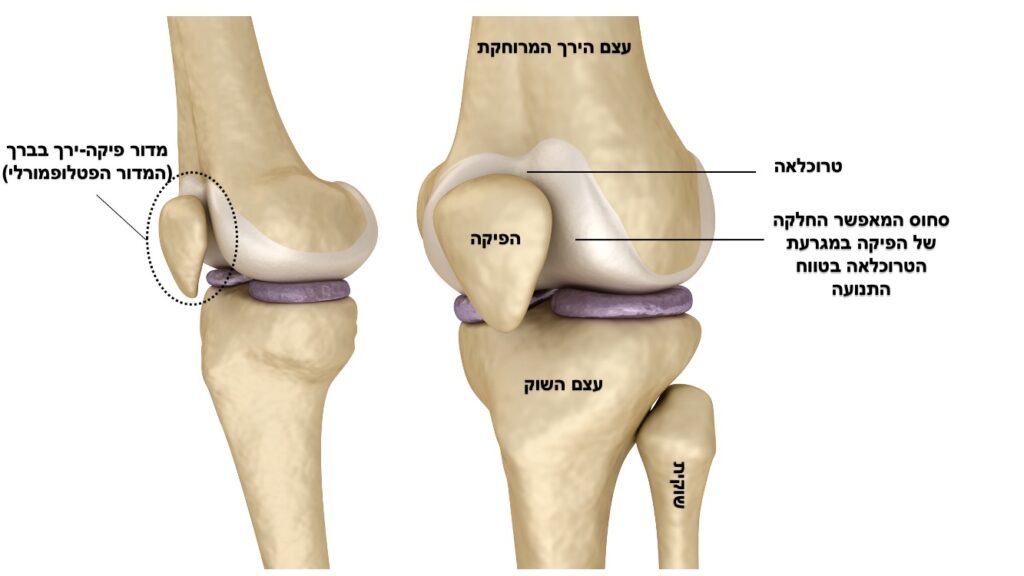 כאב בקדמת הברך