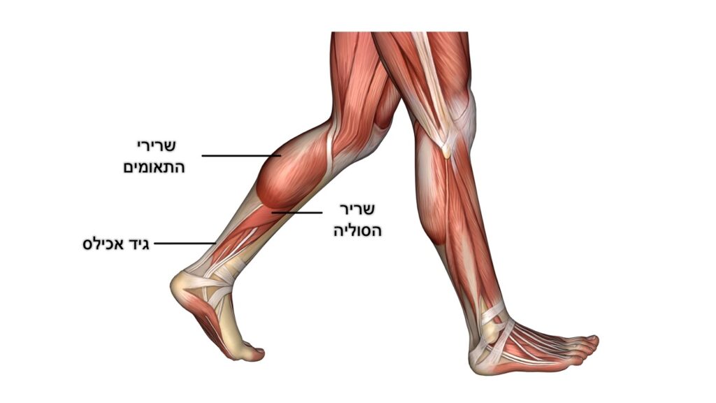 כאב בעקב גיד אכילס