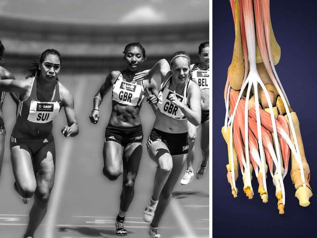 פציעות ריצה